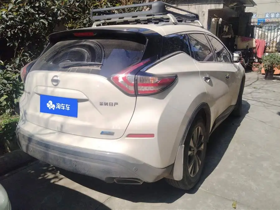 LuoLan 2021 Model 2.5L XL Two-Wheel Drive Intelligent Luxury Version