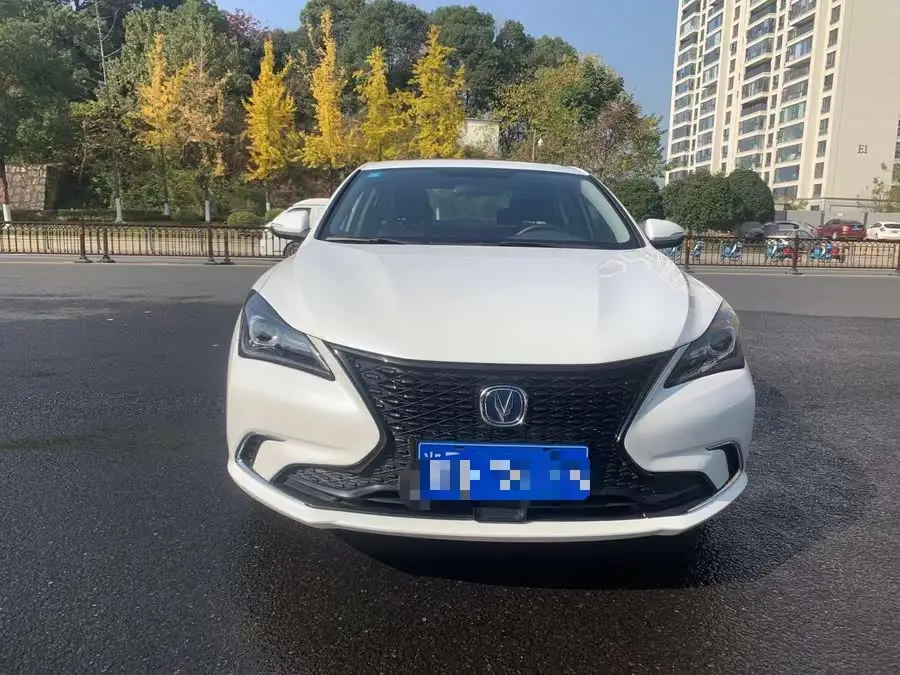Yidong 2020 Plus Blue Whale NE 1.4T GDI DCT锋尚型