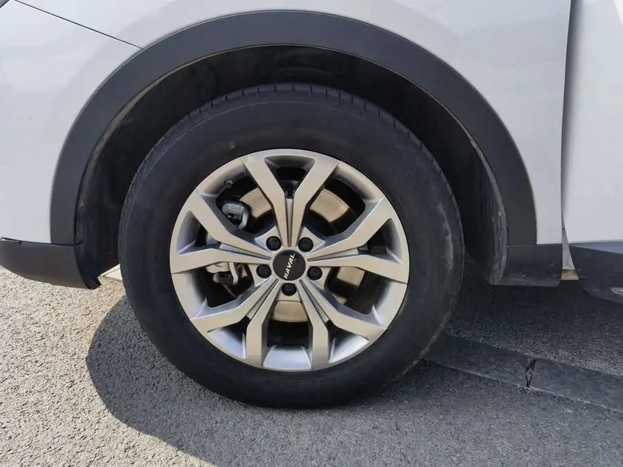 هافال H6 2021 إصدار الاتجاه الوطني 1.5GDIT النسخة الأوتوماتيكية البطلة