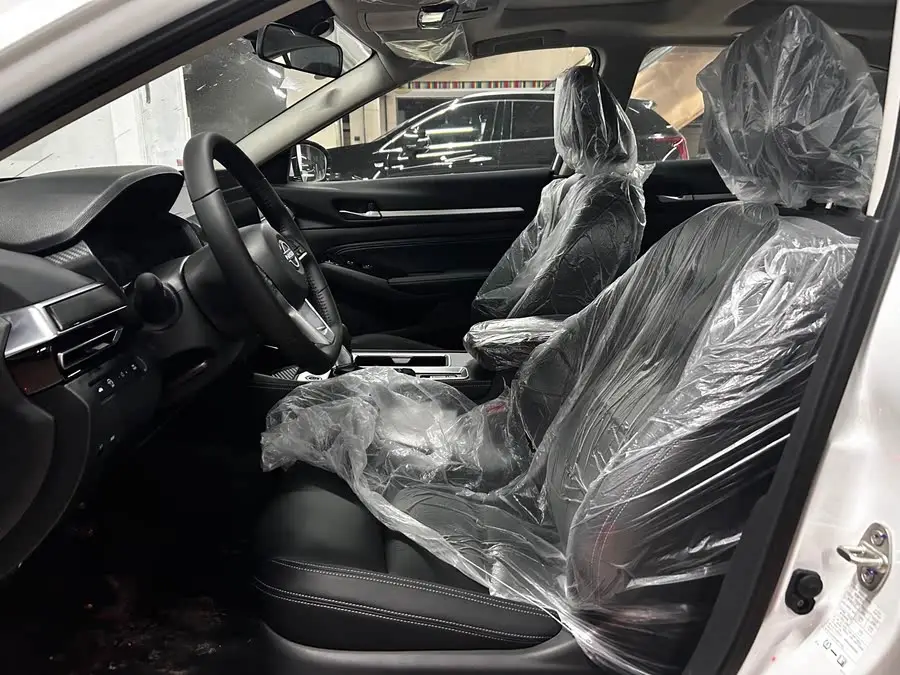 Tianlai 2022 2.0L XL-TLS Enjoy Edition