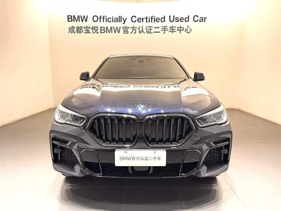 BMW X6 2022 xDrive40i Luxury M Sport Package