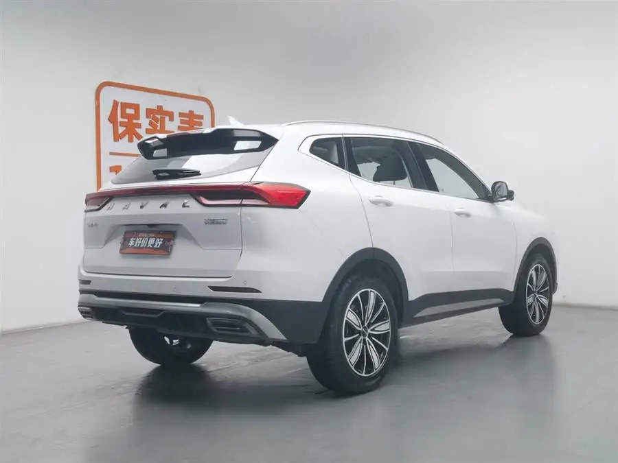 Haval H6 2023 National Tide Edition 1.5T Automatic Champion Version