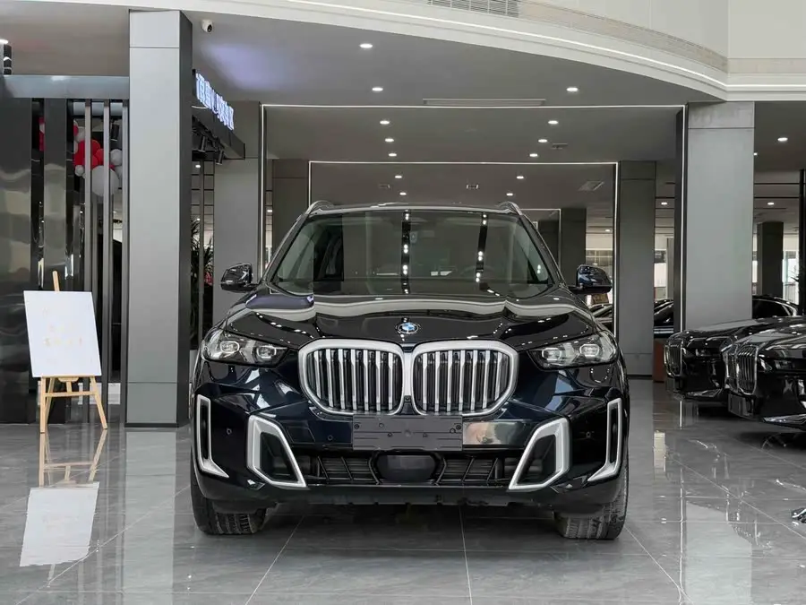BMW X5 2023 xDrive 30Li Excellence M Sport Package