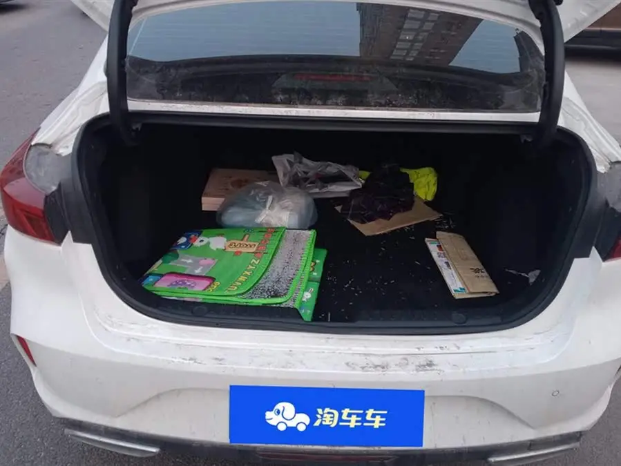 Yidong 2021 Plus Blue Whale NE 1.4T GDI DCT Premium