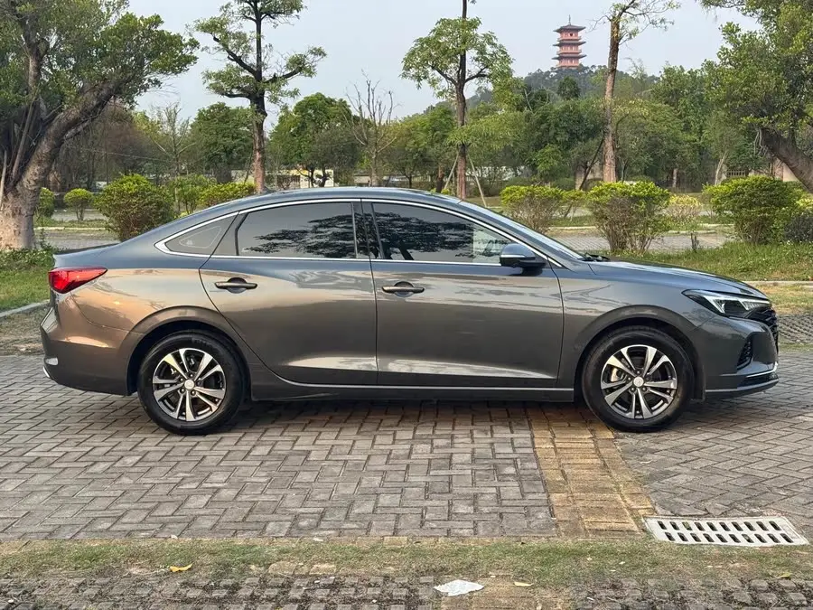 Yidong 2022 Plus Blue Whale NE 1.4T GDI DCT Flagship Version