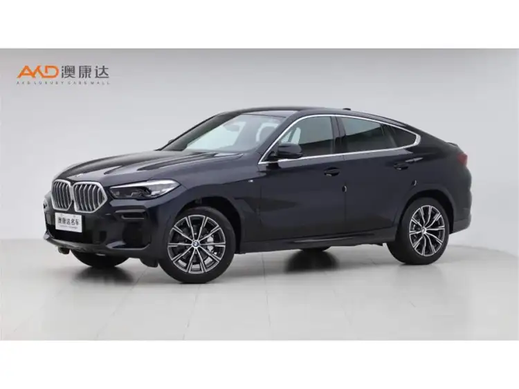BMW X6 2022 xDrive30i M Sport Package