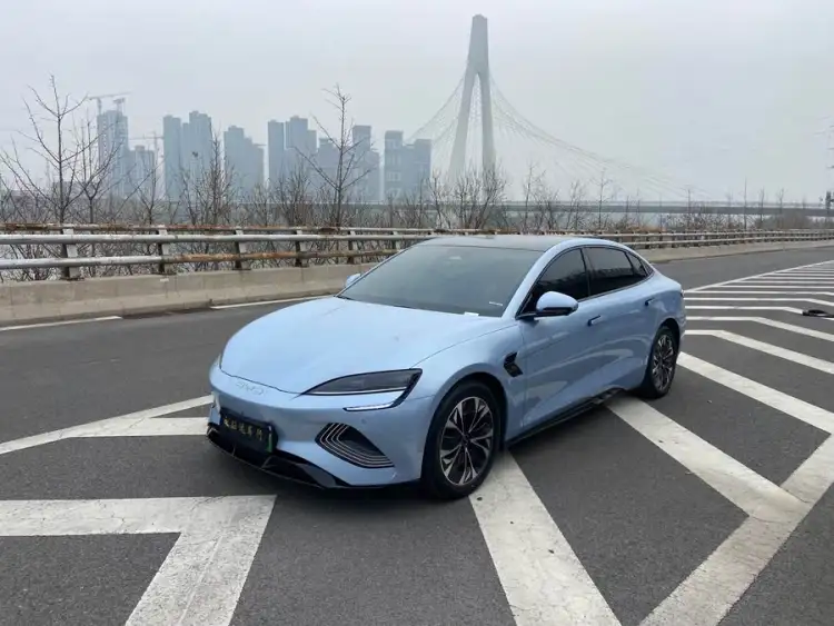 Sealion 2023 Champion Edition 550km Elite