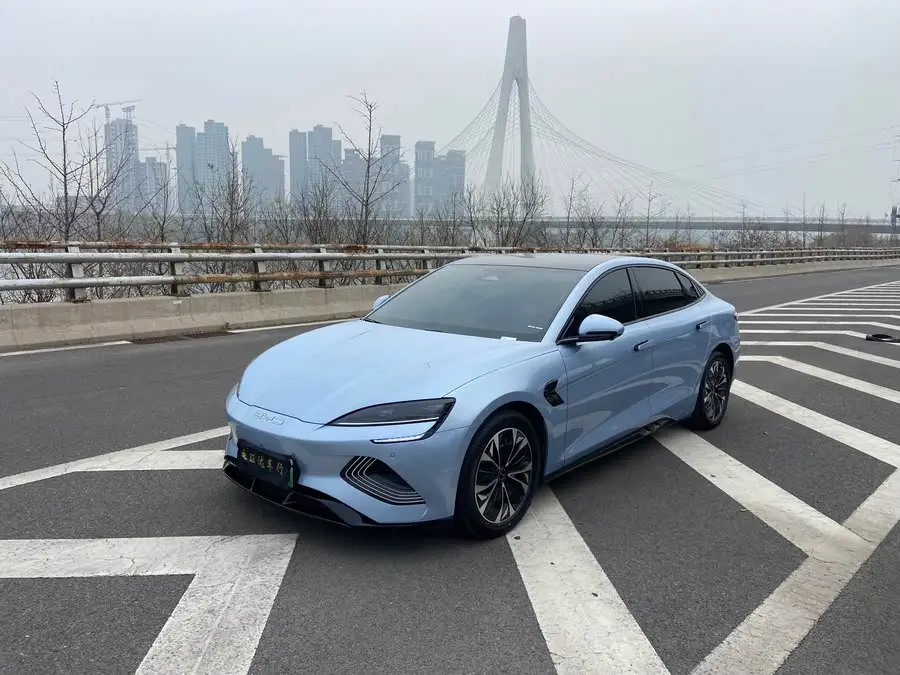 Sealion 2023 Champion Edition 550km Elite