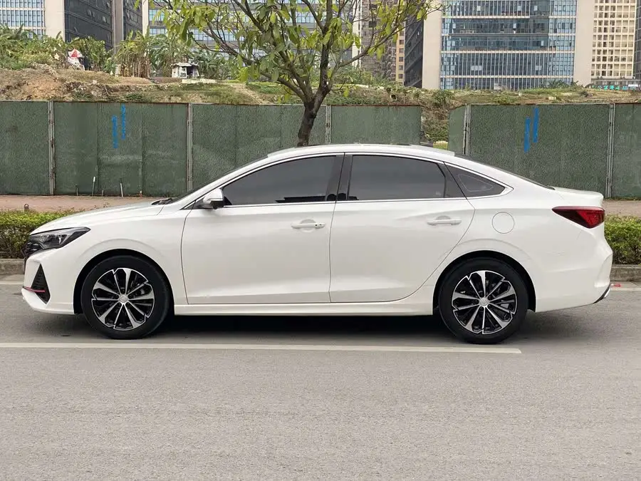 Yidong 2022 Plus Blue Whale NE 1.4T GDI DCT Flagship Edition