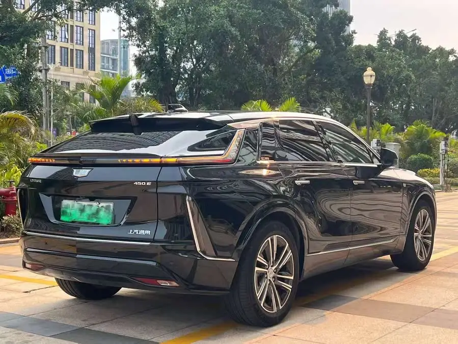 IQ Rigo 2022 Rear-wheel Drive Long Range Premium Version