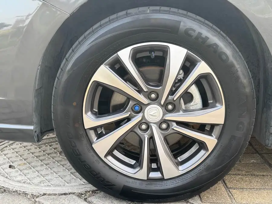 Yidong 2022 Plus Blue Whale NE 1.4T GDI DCT Flagship Version