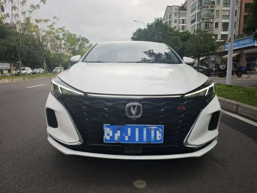 Yidong 2021 Plus Blue Whale NE 1.4T GDI DCT Flagship