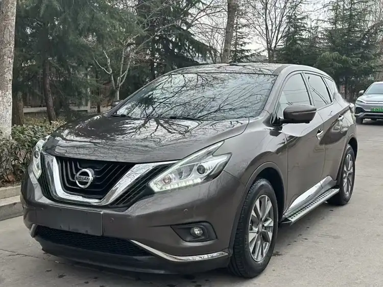 Loulan 2021 2.5L XL Plus Two-Wheel Drive Intelligent Leading Version