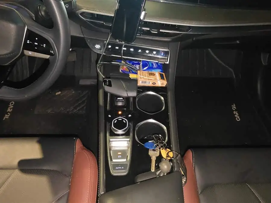 2022 Yidong PLUS Blue Whale NE 1.4T GDI DCT Premium Version