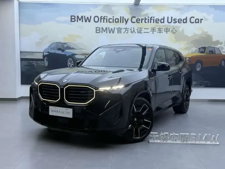 BMW XM 2023 Basic Model