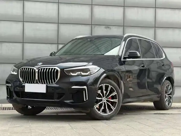 BMW X5 2022 xDrive 30Li M Sport Package