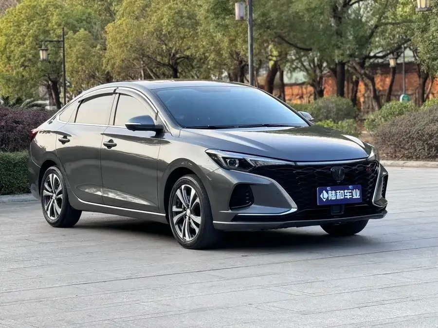 Yidong 2022 Plus Blue Whale NE 1.4T GDI DCT Flagship Version