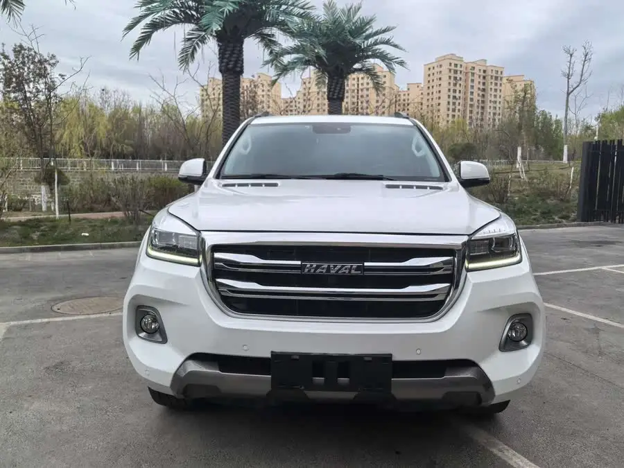 Haval H9 2020 2.0T Gasoline 4WD Elite 5-Seater