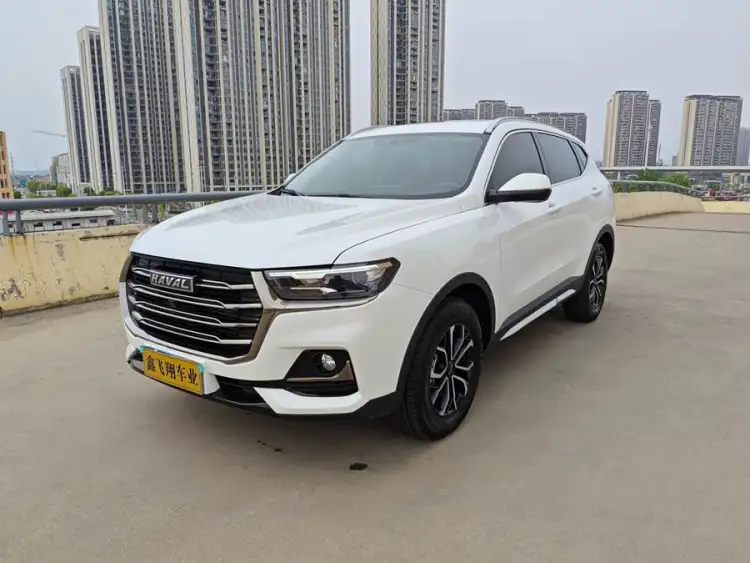 Haval H6 2021 National Trend Edition 1.5T Automatic Urban Version