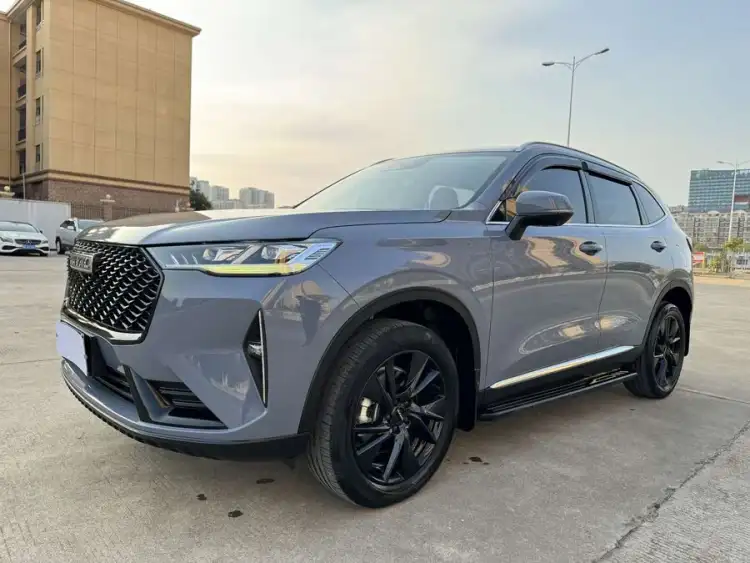 Haval H6 2021 Model Third Generation 2.0T Automatic Two-Wheel Drive Max