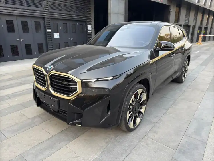 BMW XM 2023 Basic Model