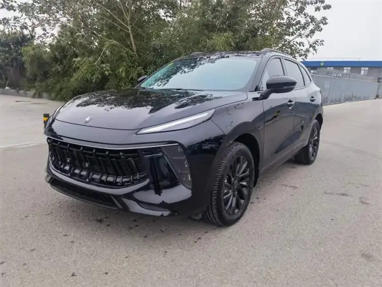 Fengxing T5 EVO 2021 1.5TD DCT Platinum Edition