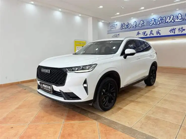 Haval H6 2021 Model Third Generation 2.0T Automatic Two-Wheel Drive Max