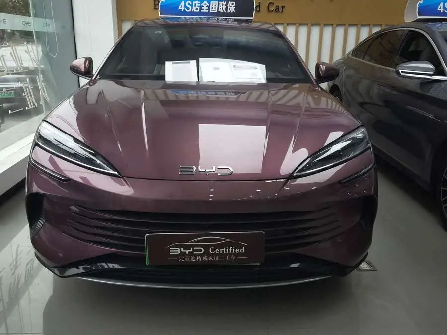 فقمة 2023 DM-i 1.5T 121كم فئة علمية