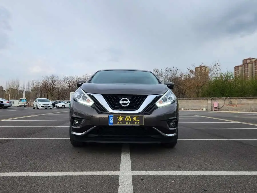 LuoLan 2019 2.5L XL Two-Wheel Drive Intelligent Luxury Version National VI