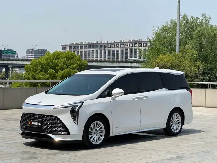 2023 Century 2.0T Six-Seater Yunshi Edition