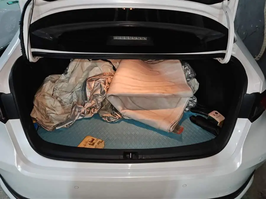 أسد آسيا 2021 2.0 لتر فئة فاخرة