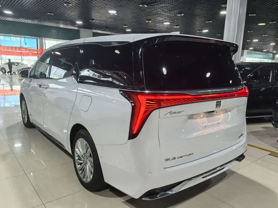 قرن 2023 2.0T نسخة ستة مقاعد يونس