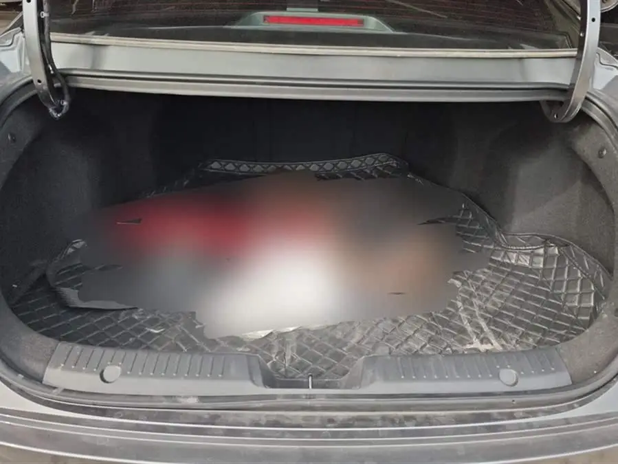 Yidong 2024 1.5T GDI Automatic Premium