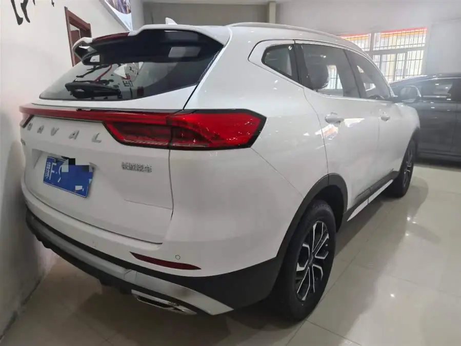 Haval H6 2023 National Trend Edition 1.5T Automatic Champion Version