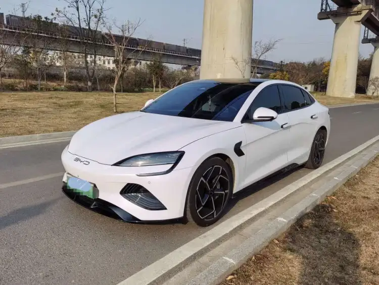 Sealion 2022 Model 700km Long Range Rear-Wheel Drive Version