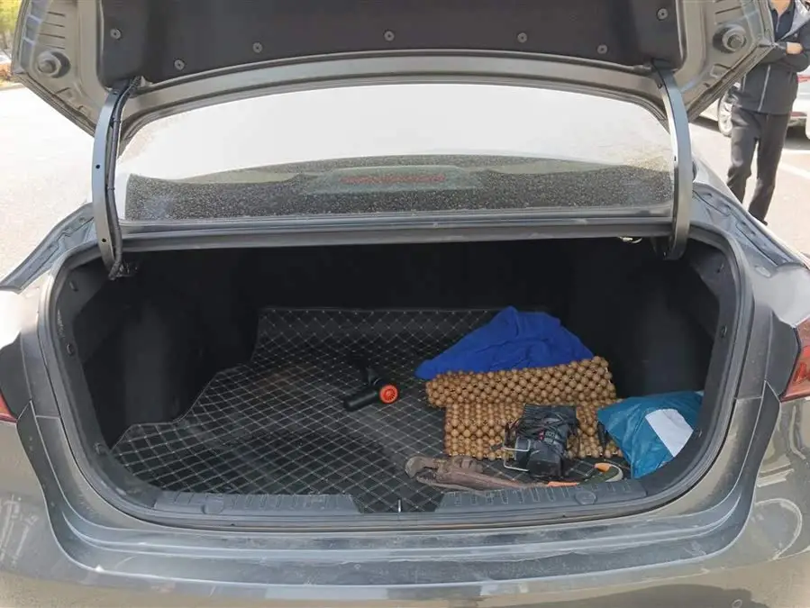 2022 Yidong PLUS 1.6L GDI CVT Luxury