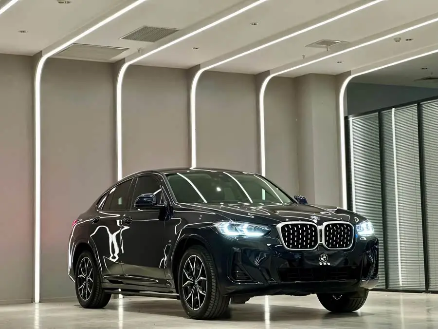 BMW X4 2022 xDrive 25i M Sport Package