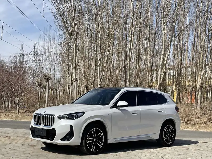 BMW X1 2023 xDrive25Li X Design Package