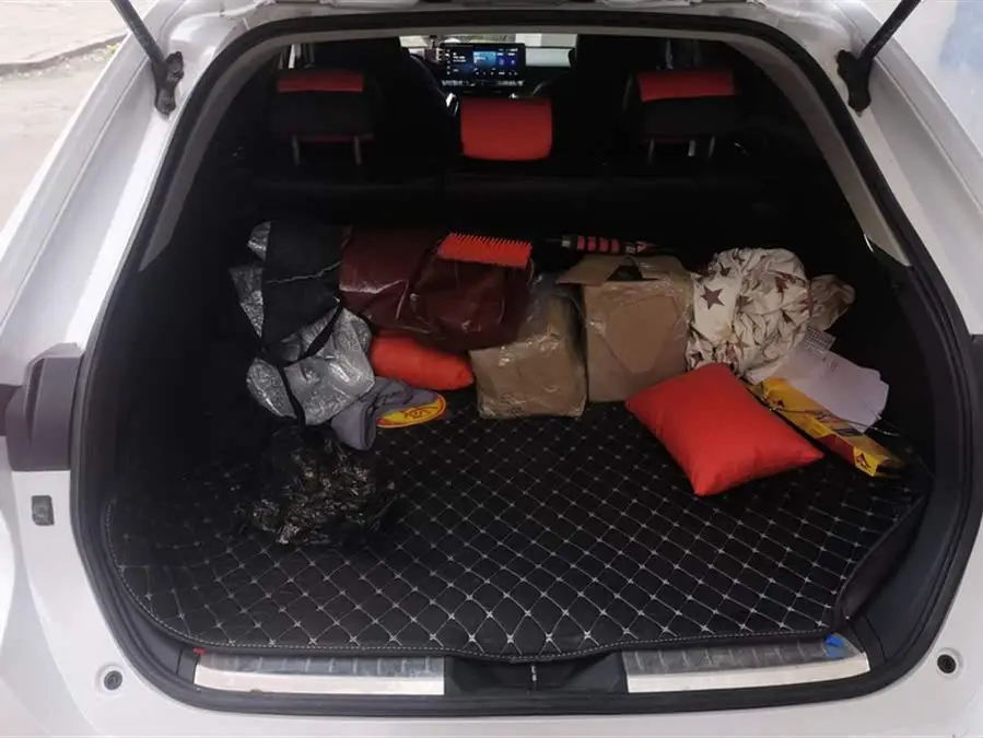 لينغفانغ هارير 2022 فئة الدفع الرباعي المتميزة 2.5L CVT