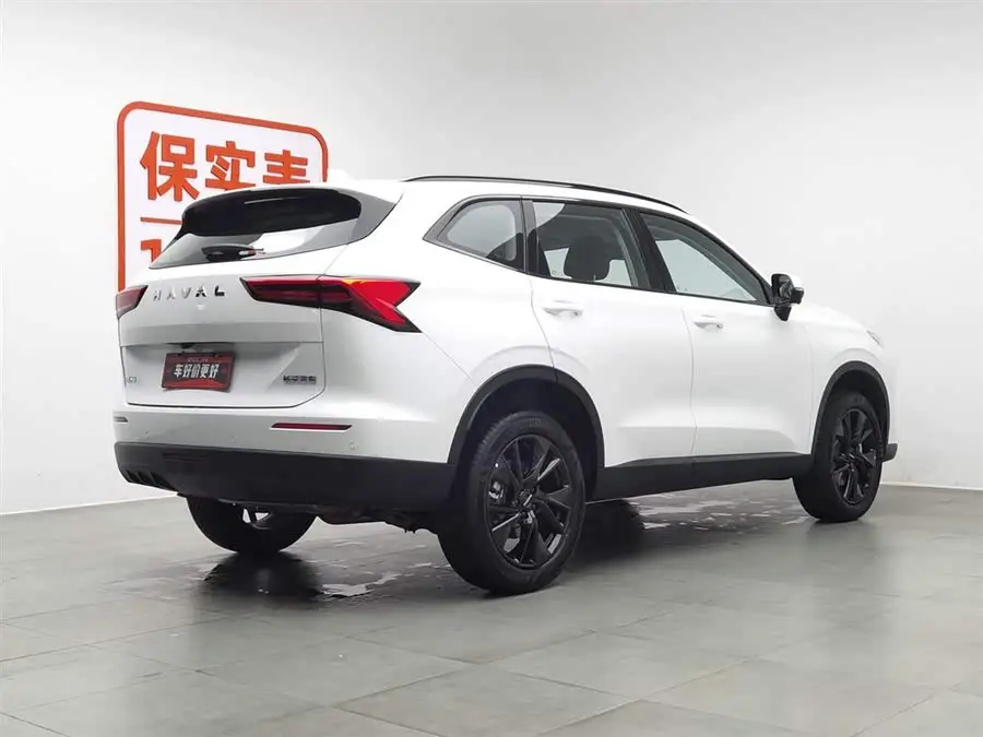 Haval H6 2024 1.5T Two-Wheel Drive Max