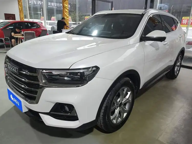 Haval H6 2021 National Trend Edition 1.5T Automatic Champion Version