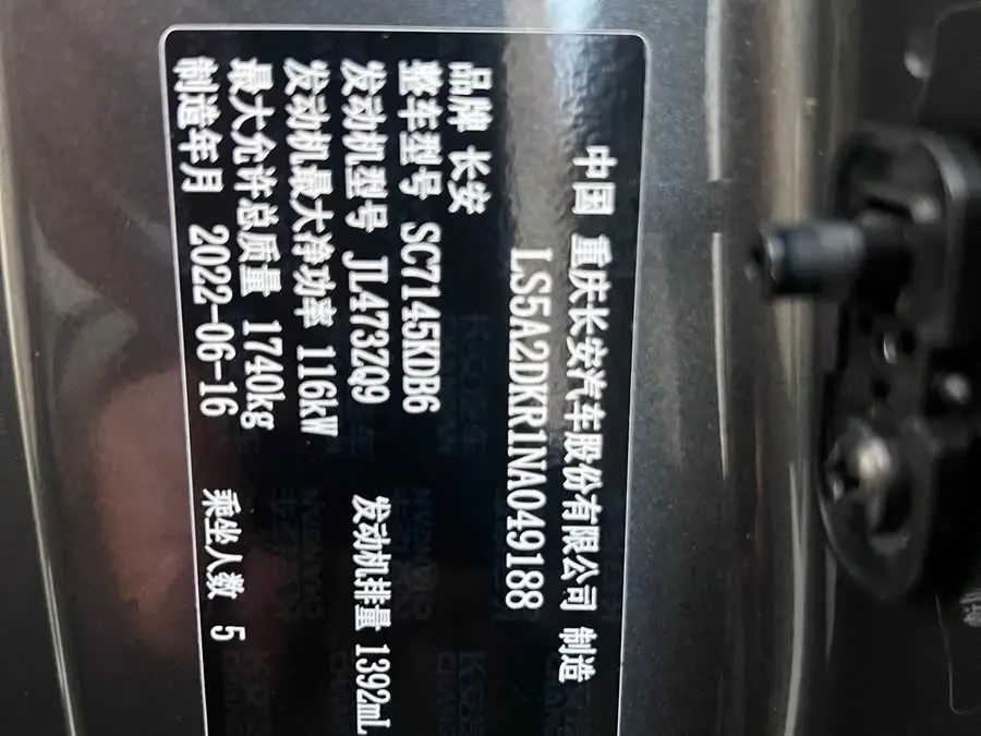 Yidong 2022 PLUS Blue Whale NE 1.4T GDI DCT Premium Version