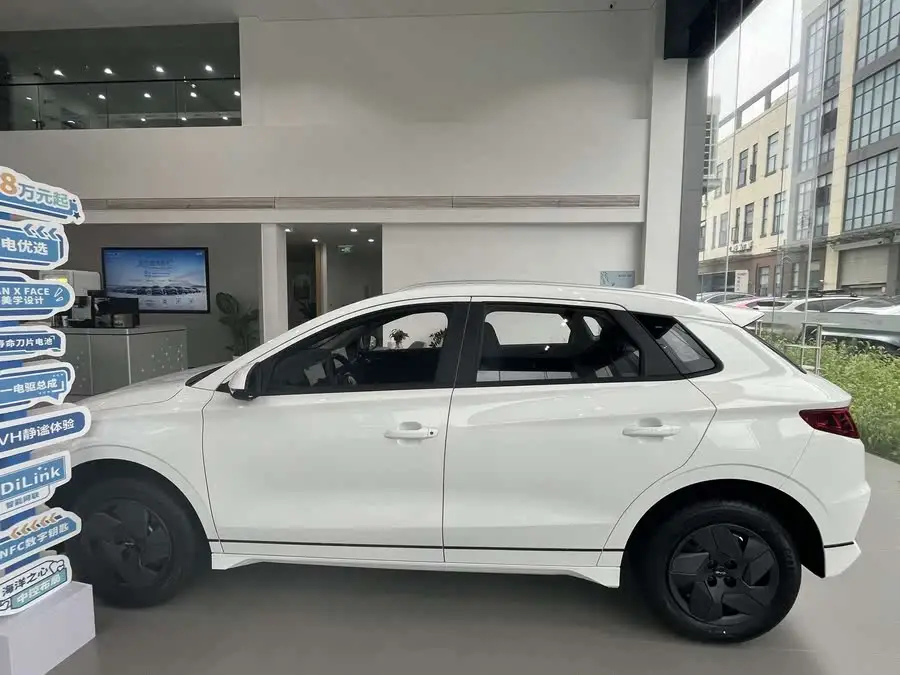 BYD e2 2024 إصدار المجد الفاخر