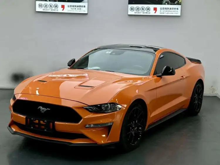 2019 Ford Mustang 2.3L EcoBoost