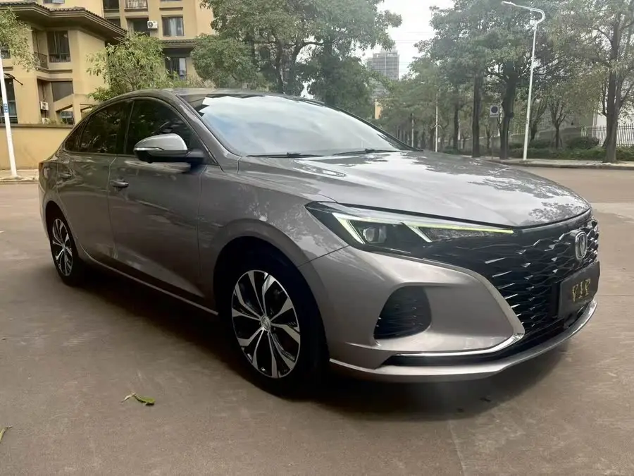 Yidong 2020 PLUS Blue Whale NE 1.4T GDI DCT Flagship