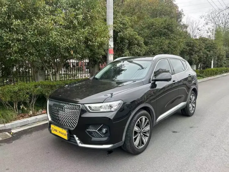 Haval H6 2021 1.5T Automatic Champion Edition