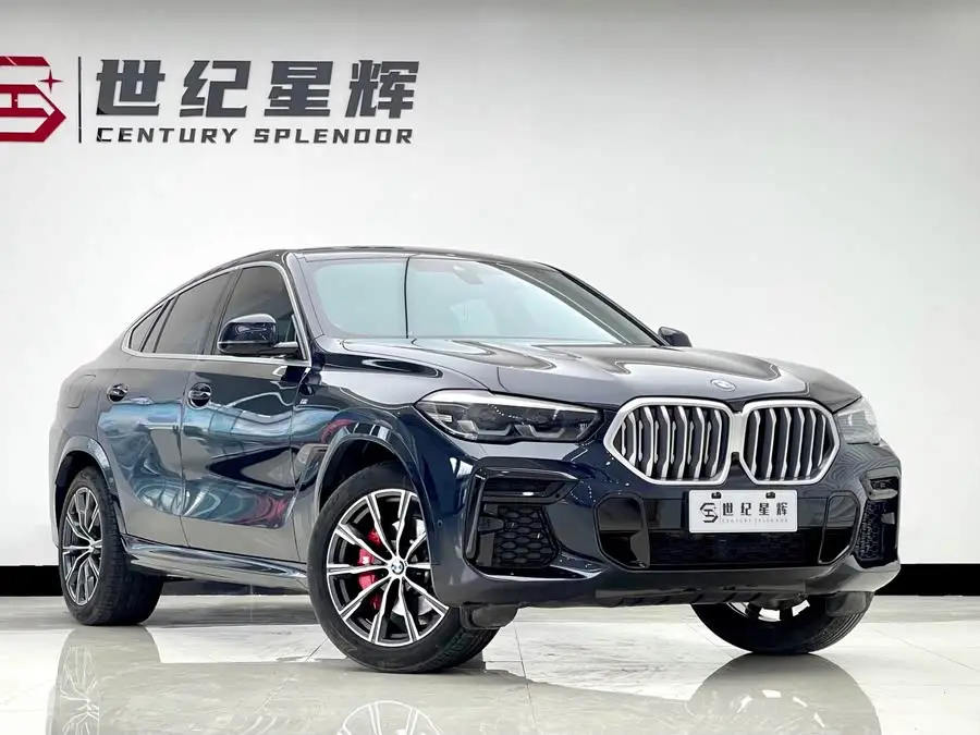 BMW X6 2022 xDrive30i M Sport Package