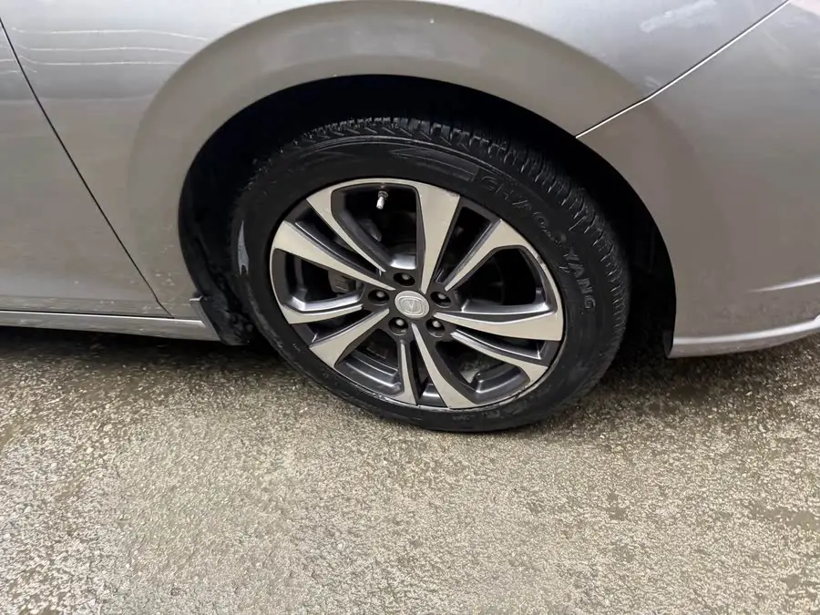 Yidong 2020 Plus Blue Whale NE 1.4T GDI DCT Flagship