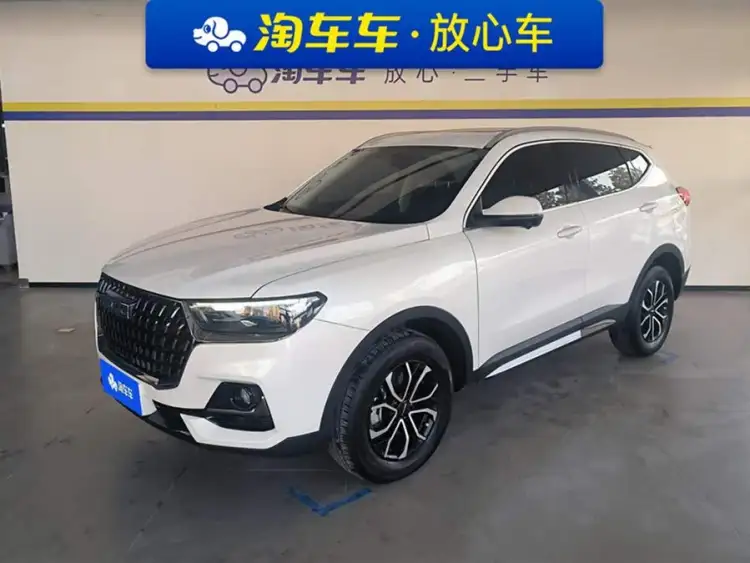 Haval H6 2023 National Trend Edition 1.5T Automatic Urban Version