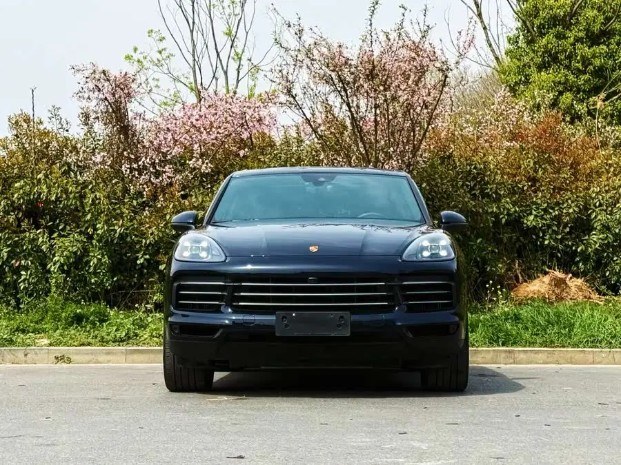 2019 كايين كايين 3.0T